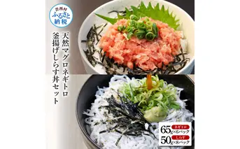 高知県産釜揚げしらす（8P）と天然マグロのタタキ丼（6P）セット（小分け）