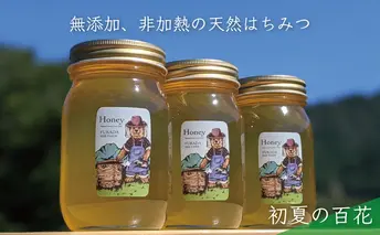 【先行予約 2025年6月20日より発送】合計1800g 天然蜂蜜 国産蜂蜜 非加熱 生はちみつ 岐阜県 美濃市産 初夏 (蜂蜜600g入りガラス瓶3本セット)B7 深田養蜂のハチミツ