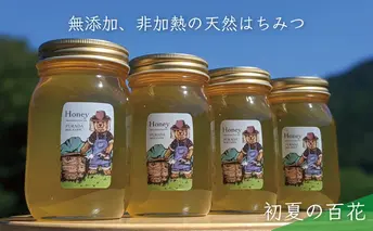 【先行予約 2025年6月20日より発送】合計2400g 天然蜂蜜 国産蜂蜜 非加熱 生はちみつ 岐阜県 美濃市産 初夏 (蜂蜜600g入りガラス瓶4本)B8 深田養蜂のハチミツ