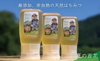【先行予約 2025年6月20日より発送】合計900g 天然蜂蜜 国産蜂蜜 非加熱 生はちみつ 岐阜県 美濃市産 初夏 (蜂蜜300g入りピタッとボトル3本セット)B11 深田養蜂のハチミツ