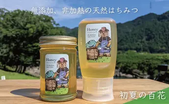 【先行予約 2025年6月20日より発送】合計530g 天然蜂蜜 国産蜂蜜 非加熱 生はちみつ 岐阜県 美濃市産 初夏 (蜂蜜230g入りガラス瓶1本、蜂蜜300g入りピタッとボトル1本のセット)B13 深田養蜂のハチミツ