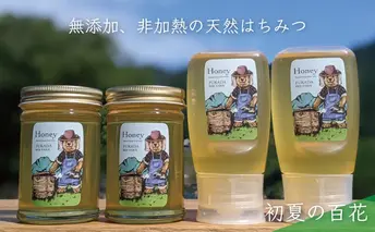 【先行予約 2025年6月20日より発送】合計1060g 天然蜂蜜 国産蜂蜜 非加熱 生はちみつ 岐阜県 美濃市産 初夏 (蜂蜜230g入りガラス瓶2本、蜂蜜300g入りピタッとボトル2本のセット)B14 深田養蜂のハチミツ