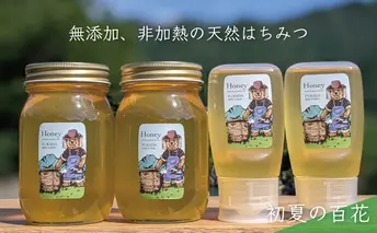 【先行予約 2025年6月20日より発送】合計1800g 天然蜂蜜 国産蜂蜜 非加熱 生はちみつ 岐阜県 美濃市産 初夏 (蜂蜜600g入りガラス瓶2本、蜂蜜300g入りピタッとボトル2本のセット)B16 深田養蜂のハチミツ