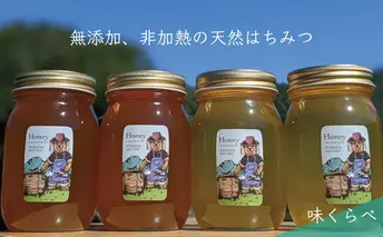 【先行予約 2025年6月20日より発送】合計2400g 天然蜂蜜 国産蜂蜜 非加熱 生はちみつ 岐阜県 美濃市産 味比べ 蜂蜜600g入りガラス瓶 4本セットC4 深田養蜂のハチミツ