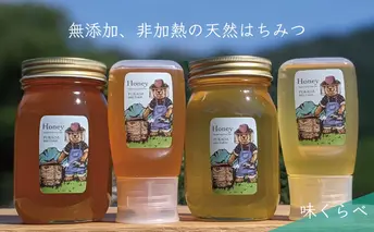 【先行予約 2025年6月20日より発送】合計1800g 天然蜂蜜 国産蜂蜜 非加熱 生はちみつ 岐阜県 美濃市産 味比べセット (蜂蜜600g入りガラス瓶各2本、蜂蜜300g入りピタッとボトル各2本)C8 深田養蜂のハチミツ