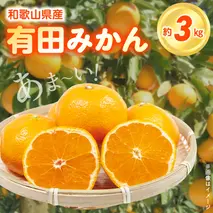 ZN6012_こだわりの和歌山県産 有田みかん 3kg ひとつひとつ手選別で厳選！生産者から直送