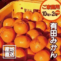 EH6100_【2025年先行予約】【訳あり ご家庭用】和歌山県産 有田みかん 10kg＋2kg保証分 サイズ混合