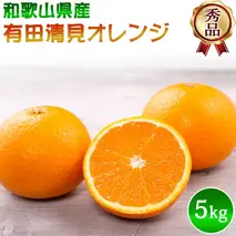 DZ6031n_【先行予約】有田 清見 オレンジ 秀品 S～2Lサイズ 大きさお任せ 5kg
