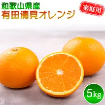 DZ6032n_【先行予約】有田 清見 オレンジ 家庭用 訳あり S～3Lサイズ混合 5kg