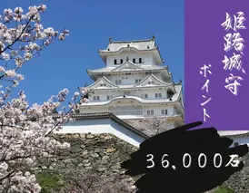 姫路城守ポイント（36,000石）