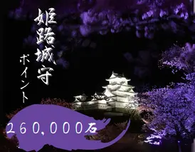 姫路城守ポイント（260,000石）