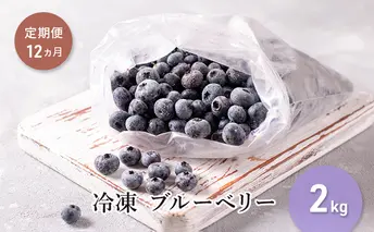 【定期便12カ月】北海道 豊浦町産 冷凍 ブルーベリー 2kg 栽培期間中農薬不使用