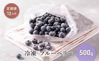 【定期便12カ月】北海道 豊浦町産 冷凍 ブルーベリー 500g 栽培期間中農薬不使用