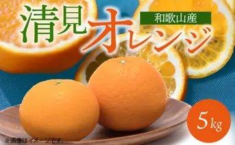 G7066_【先行予約】とにかくジューシー 清見 オレンジ 5kg