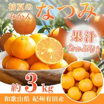 G7071_【2026年先行予約】初夏のみかん なつみ 3kg