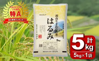 【湘南生まれのお米】神奈川県産はるみ 5kg 【特Aランク】精米 米 お米 白米 5キロ 神奈川米 米の食味ランキング 常温 甘み ねばり やや弱め 玉子かけごはん 粒が大きい 