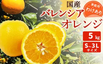 ZT6246_国産 バレンシアオレンジ 【訳あり 家庭用】 5kg S～3Lサイズ