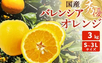 ZT6400_国産 バレンシアオレンジ 秀優 3kg S～3Lサイズ