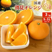 ZT6401_【2026年先行予約】清見オレンジ 秀優 3kg S～3Lサイズ