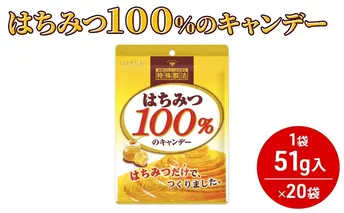 はちみつ100％のキャンデー [ 飴 キャンンデー 蜂蜜 のど飴 キャンディー 業務用 大容量 大量 ]