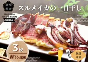 イカの一日干し３枚