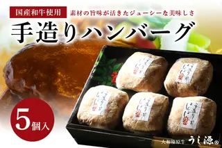 (冷凍)肉料理うし源 手造りハンバーグ5個入
