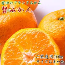 ZD92062_【2025年先行予約】【家庭用】有田ブランド 賢みかん 10kg（S～Lサイズおまかせ）