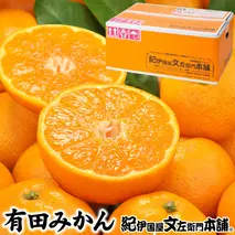 V7439_ブランド有田みかん 秀品 約2.8kg【サイズおまかせ】/ 産地直送 / 薄皮で甘い美味しい和歌山県産 / 紀伊国屋文左衛門本舗