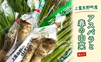 上富良野産 アスパラと春の山菜セット アスパラガス アスパラ 野菜 山菜 北海道 