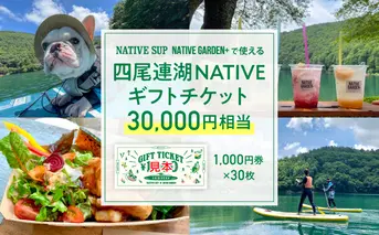 四尾連湖 NATIVEギフトチケット30,000円券　native surf[5839-2079]