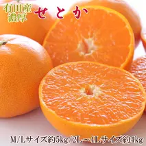 ZD7002_【2026年先行予約】一度は食べていただきたい 有田産のせとか 4～5kg（サイズおまかせ）
