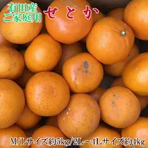 ZD7003_【2026年先行予約】一度は食べていただきたい 有田産のせとか 【訳あり 家庭用】 4kg～5kg (サイズおまかせ)