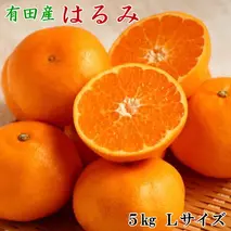 ZD7004_【厳選・濃厚】【2026年先行予約】紀州有田産の はるみ 約5kg (Lサイズ)