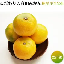 ZT6226n_【2025年先行予約】こだわりの有田みかん 2kg 極早生YN26　サイズ2S～M 
