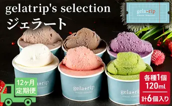 ≪12ヵ月定期便≫gelatrip's selection ジェラート6個BOX 