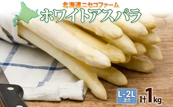 北海道産 アスパラガス ホワイト 約 1kg L - 2L サイズ 混合 アスパラ 旬 朝採り 新鮮 お取り寄せ 産地直送 産直 野菜 農作物 詰め合わせ 国産 北海道 倶知安町 