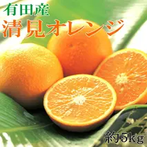 ZD7005_【2026年先行予約】【濃厚】有田産清見オレンジ約5kg（サイズおまかせ・青秀以上）