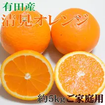 ZD7006_【2026年先行予約】【ご家庭用】濃厚有田産清見オレンジ約5kg（サイズおまかせ）