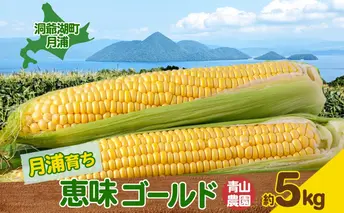 北海道 月浦 めぐみ ゴールド  約5kg とうもろこしトウモロコシ とうきび コーン 恵味 イエロー スイートコーン 旬 野菜 甘い 大粒 人気 朝採り 産地直送 青山農園 送料無料 洞爺湖