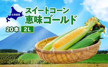  北海道産 スイート コーン めぐみゴールド 2Lサイズ 20本 先行受付 8月上旬～末頃のお届け とうもろこし 恵味 めぐみ トウモロコシ 旬 完熟 朝もぎ 野菜 産地直送 お取り寄せ 北海道 丸田農園 送料無料 洞爺湖 