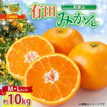 ZJ6088_【2025年先行予約】ご家庭用　和歌山 有田みかん 約10kg (M、Lサイズ)【湯浅町】