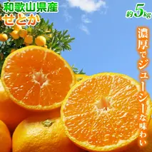 G7355_【2026年先行予約】とろける食感！ジューシー柑橘 せとか 5kg 【家庭用 訳あり】