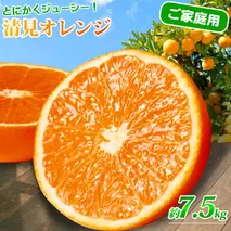 G7067_【2026年先行予約】紀州有田産 清見 オレンジ 7.5kg【家庭用 訳あり】