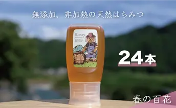 合計7200g 天然蜂蜜 国産蜂蜜 非加熱 生はちみつ 岐阜県 美濃市産 春 (蜂蜜300g入りピタッとボトル24本セット) A19