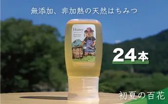 合計7200g 天然蜂蜜 国産蜂蜜 非加熱 生はちみつ 岐阜県 美濃市産 初夏 (蜂蜜300g入りピタッとボトル24本セット) B19