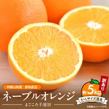 ZE6444_【2026年先行予約】和歌山県産 ネーブルオレンジ 【訳あり 家庭用】5kg サイズ混合 【まごころ手選別】
