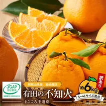ZE6015n_【2026年先行予約】有田の不知火(しらぬひ) 【訳あり　家庭用】　6kg (S～4Lサイズ混合)まごころ手選別