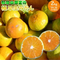 EA6103_和歌山県限定の極早生みかん 2kg (YN-26 大小混合)