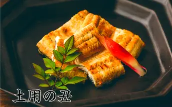 【土用丑の日（二の丑）：2024】予約受付中≪8月5日までにお届け≫田野町産うなぎの白焼き 2尾（冷凍）　ウナギ 鰻 しらやき 国産 無頭 冷凍