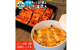 【ふるさと納税】★四国一小さなまち★田野町産うなぎのわっぱ飯4個+うなぎの蒲焼き(大)2尾 鰻 ウナギ お弁当 ご飯 ごはん めし わっぱめし かば焼き 無頭 タレ付き 山椒付き ふっくら 美味しい 手軽 簡単 レンジ お取り寄せ 冷凍 配送 高知県 田野町 ふるさとのうぜい 故郷納税 返礼品